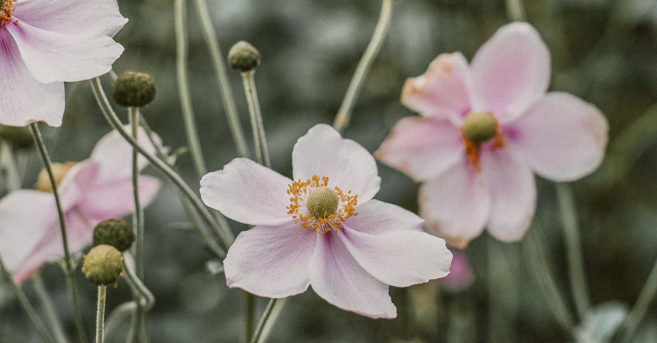 5 Scriptures for Thriving in Motherhood No Matter What Season You’re In
