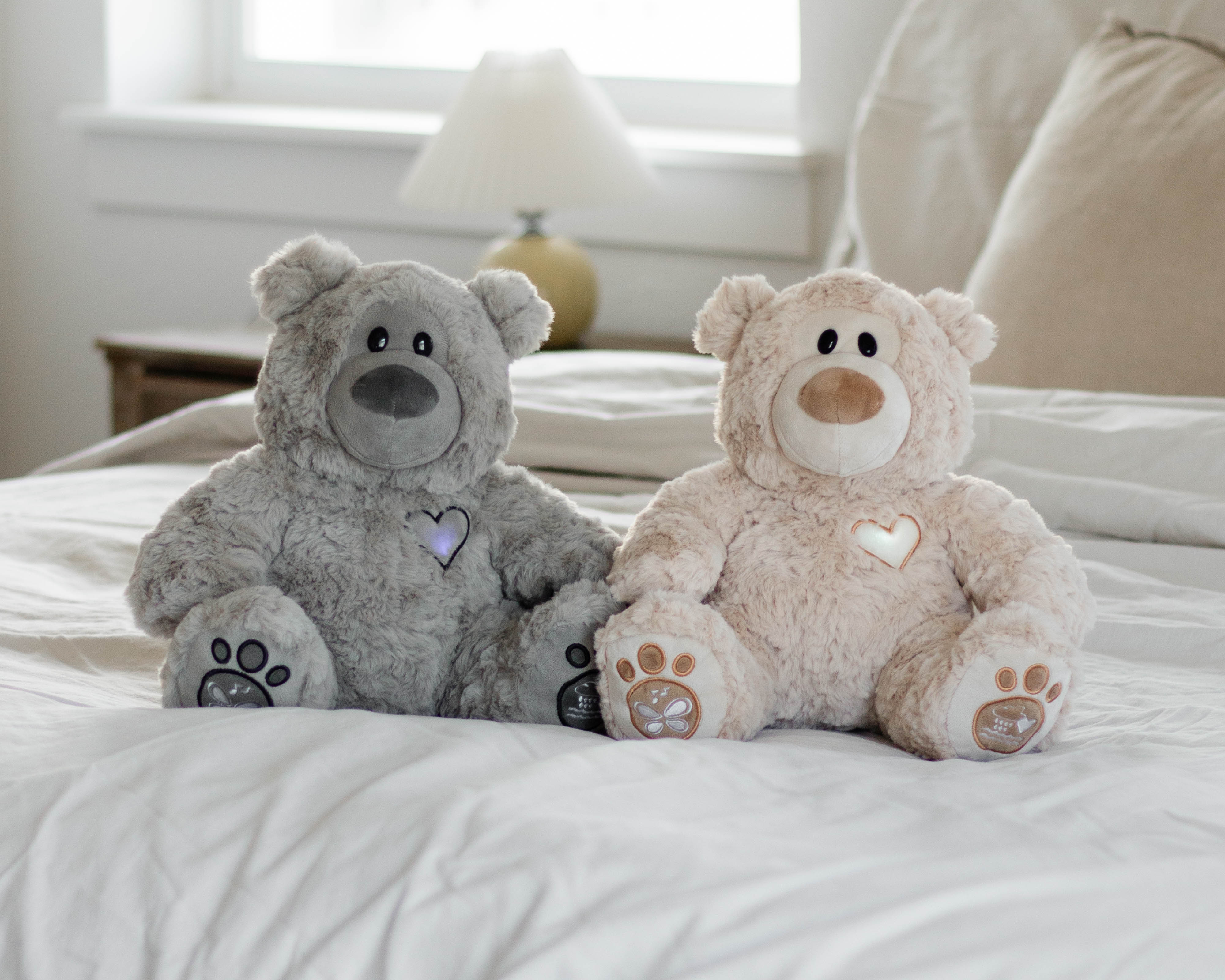 Musical Teddy Bear