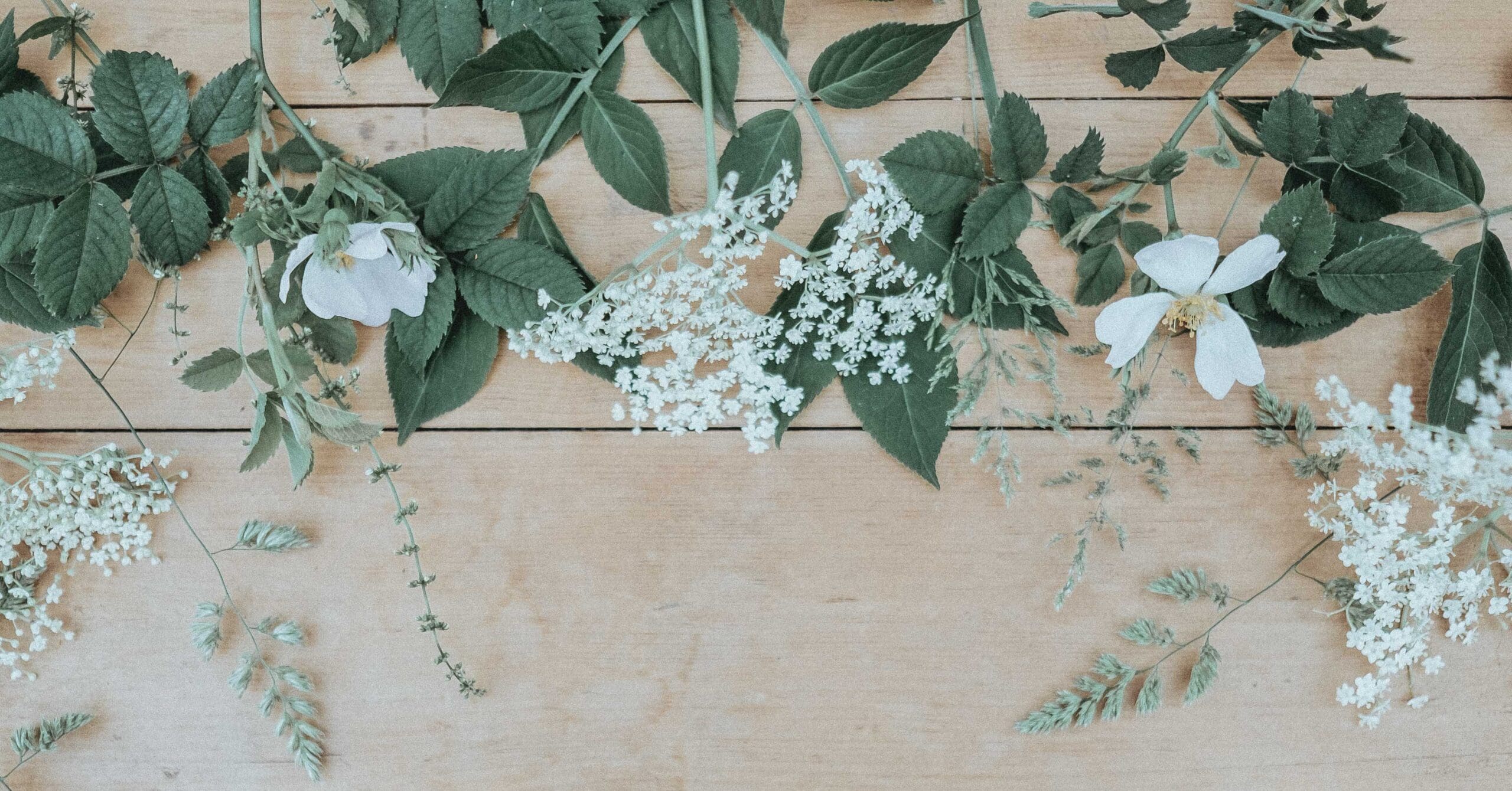 10 Verses and Songs for Lent and Easter