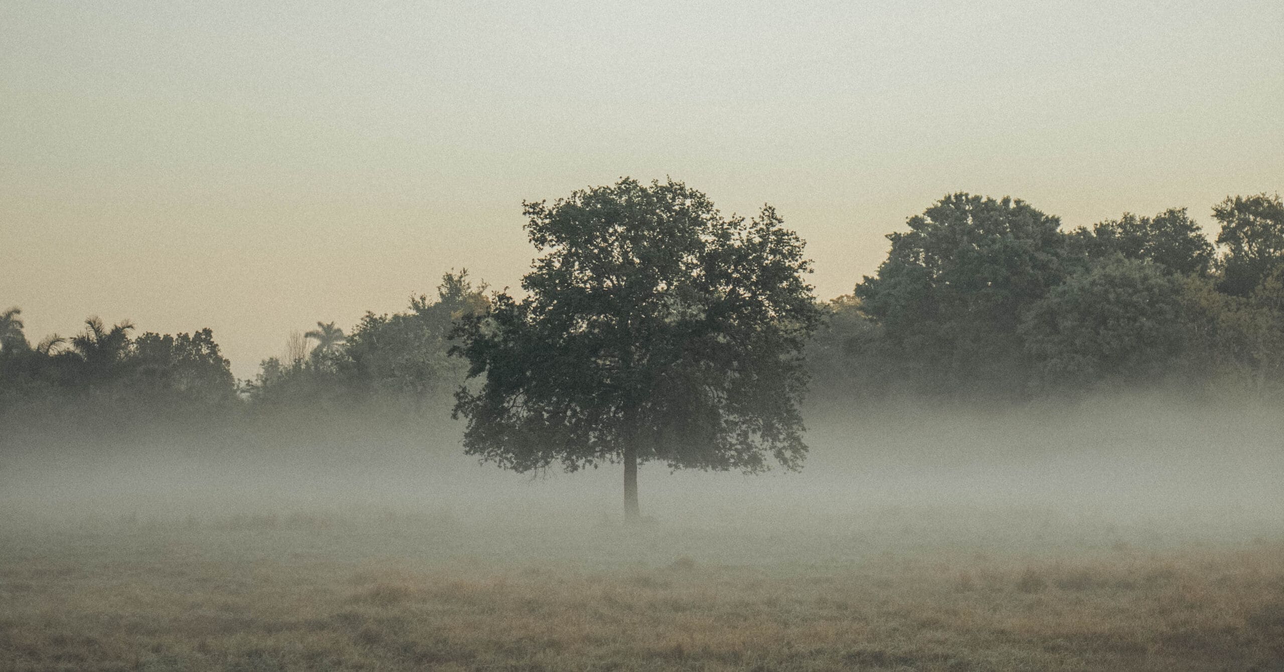 5 Powerful Verses and Songs for When You Are Anxious About the Future