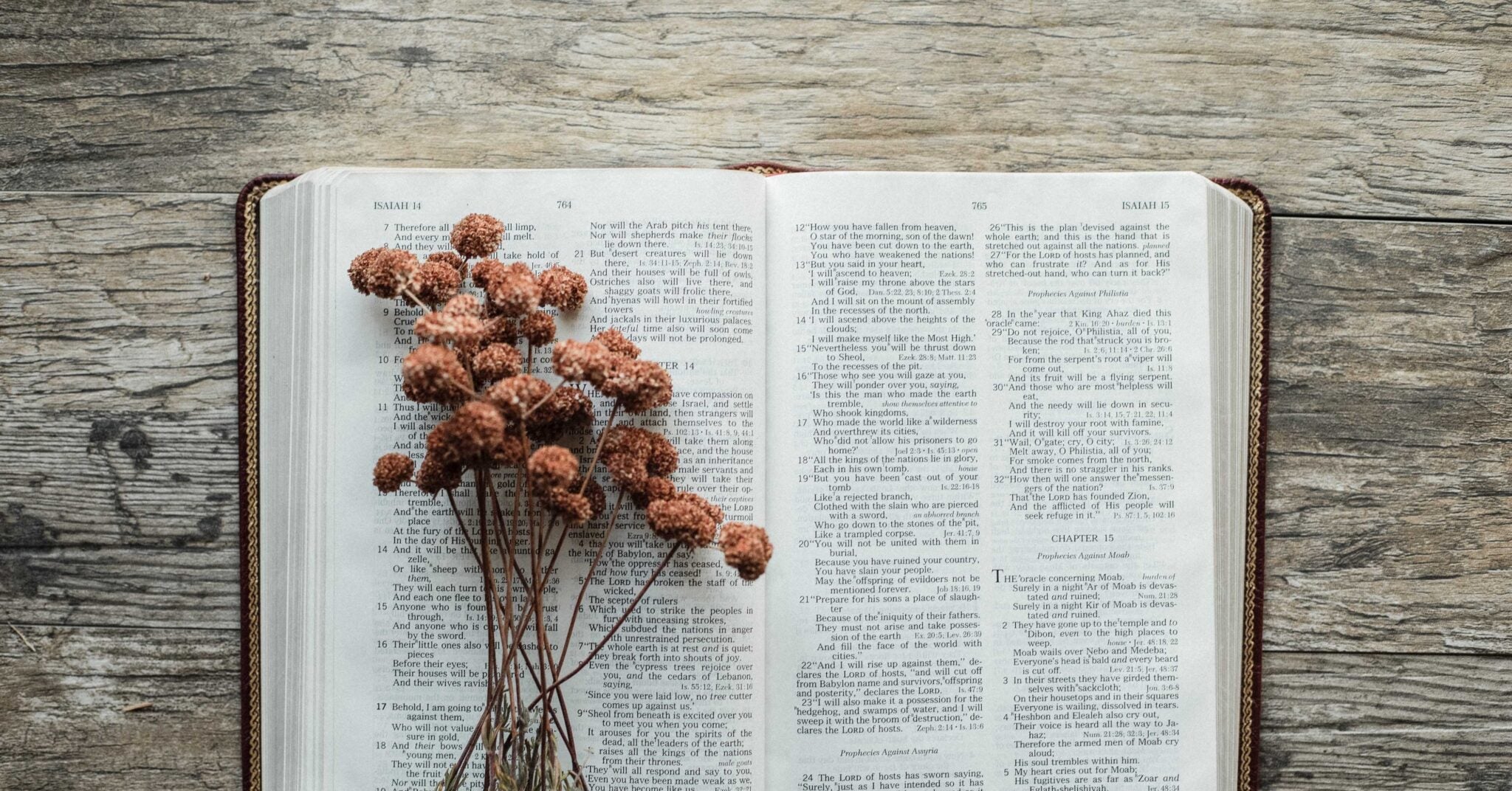 3 Biblical Promises for Your Child to Bring Back to School