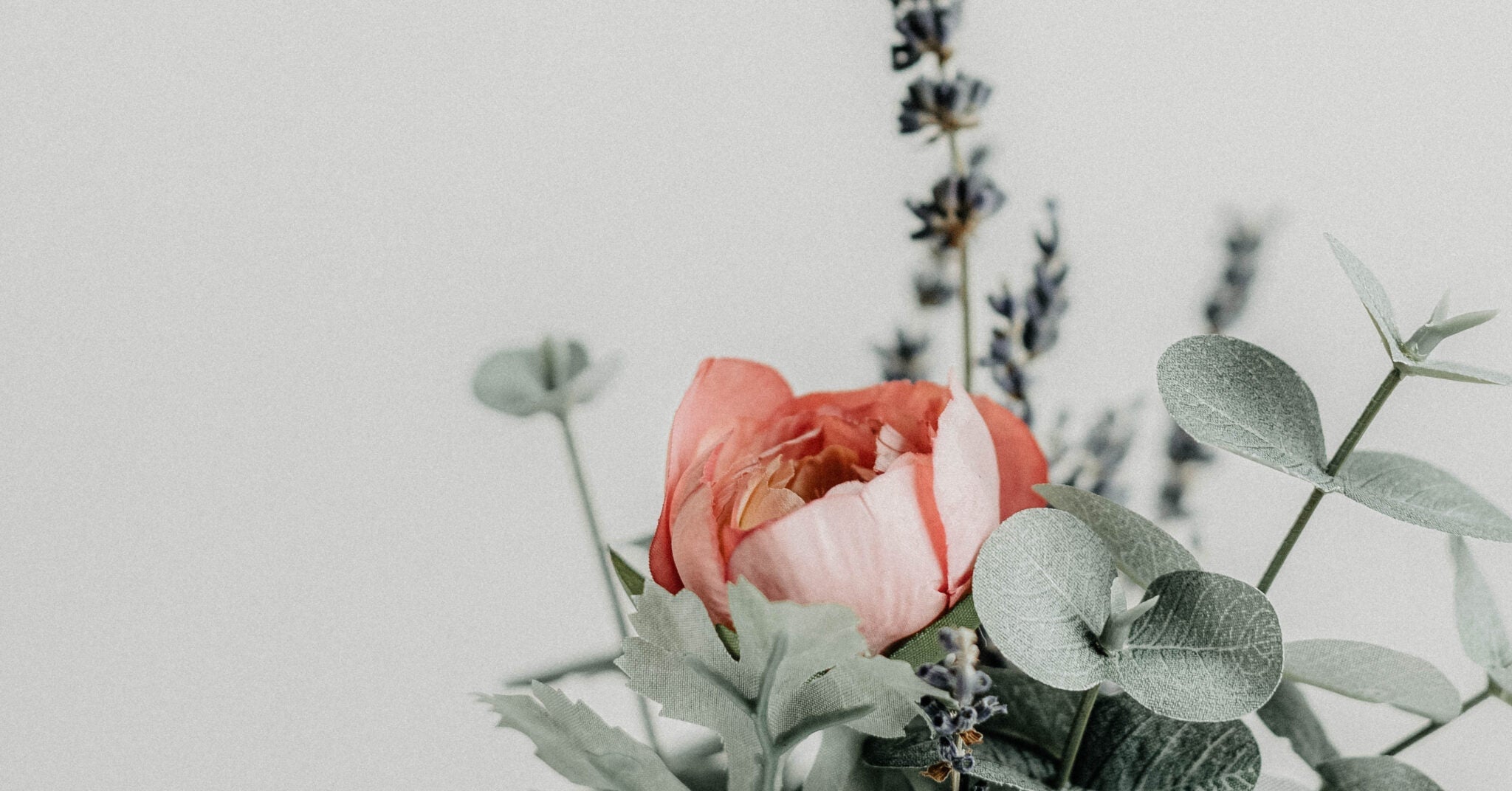 Scriptures of Hope for When Life is Hard