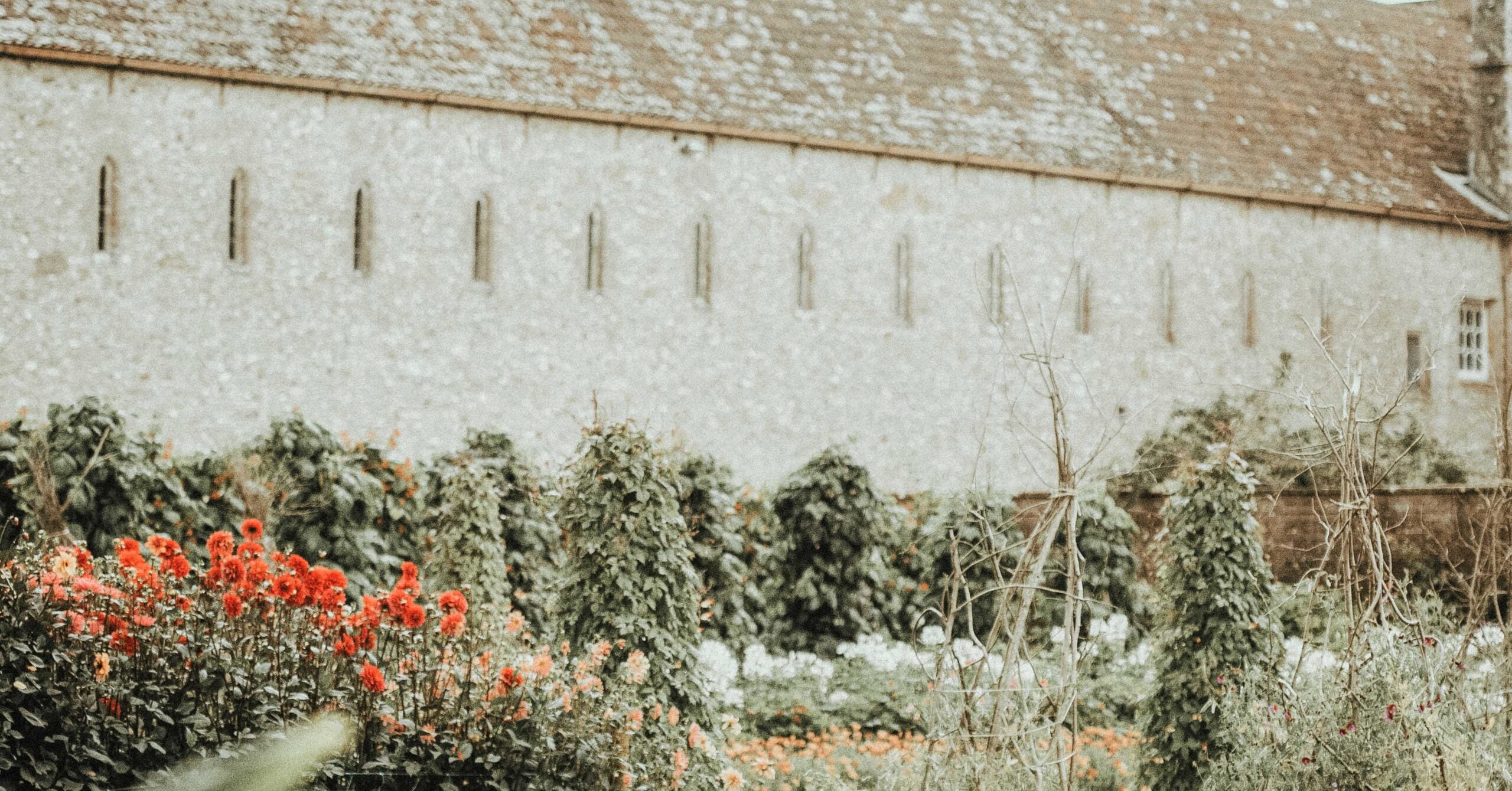 Inviting God to Cultivate the Soil of Your Soul