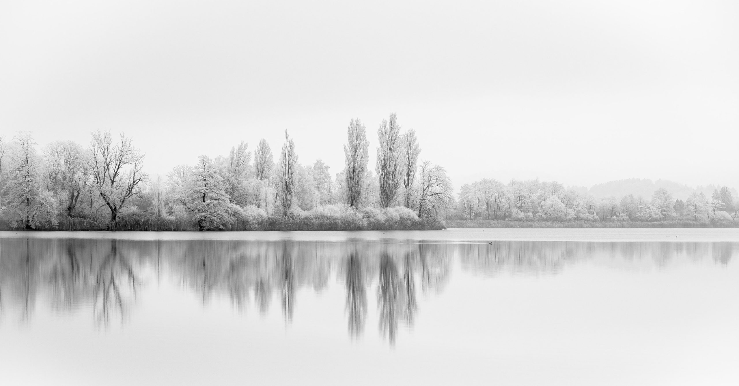Reflections of a Perfect Love