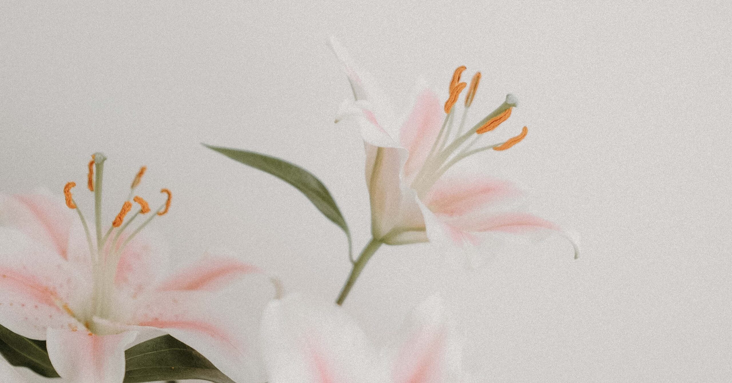 10 Scriptures for Every Mom on Mother's Day