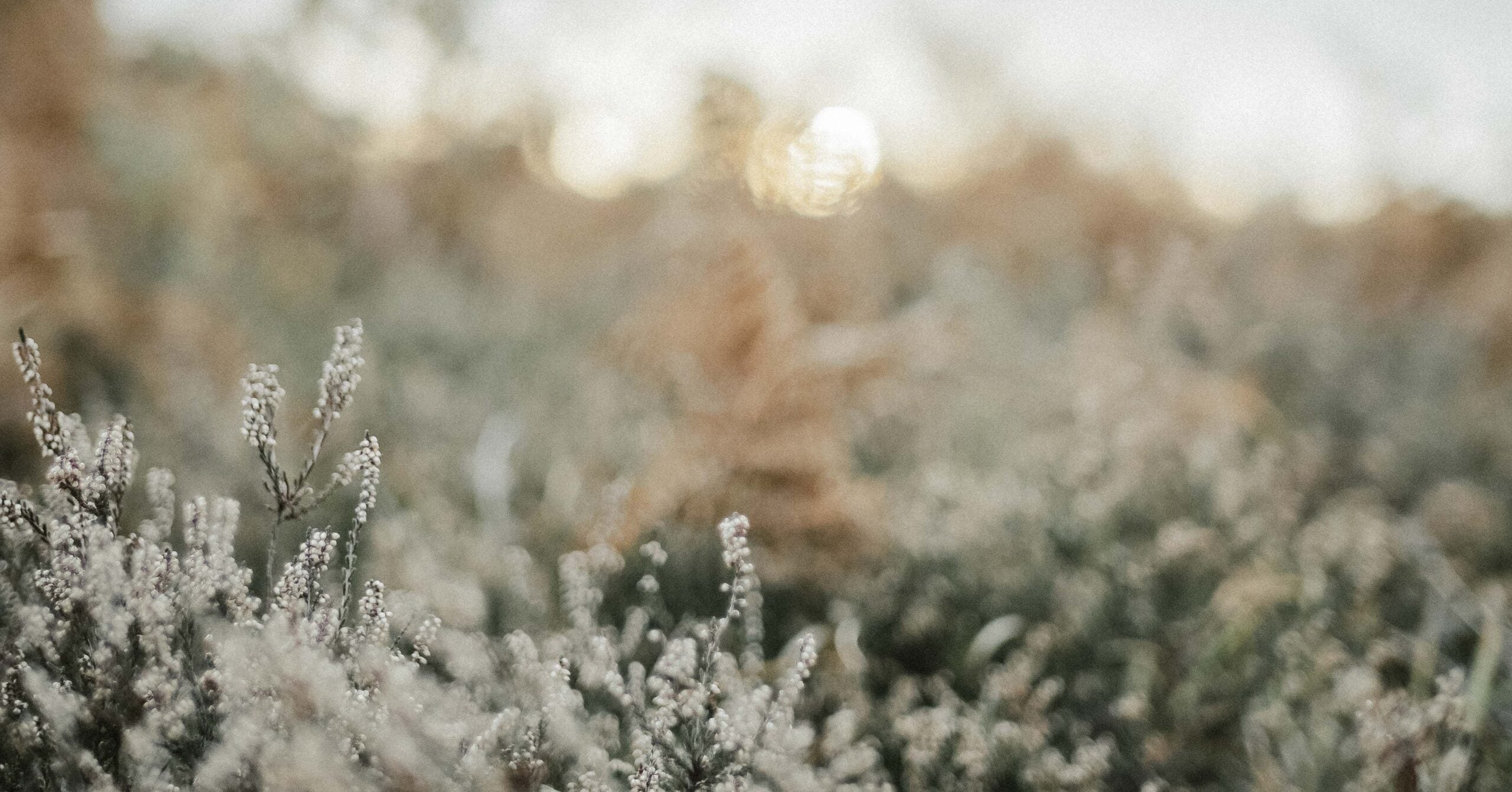 What Does It Mean That God Is Timeless?