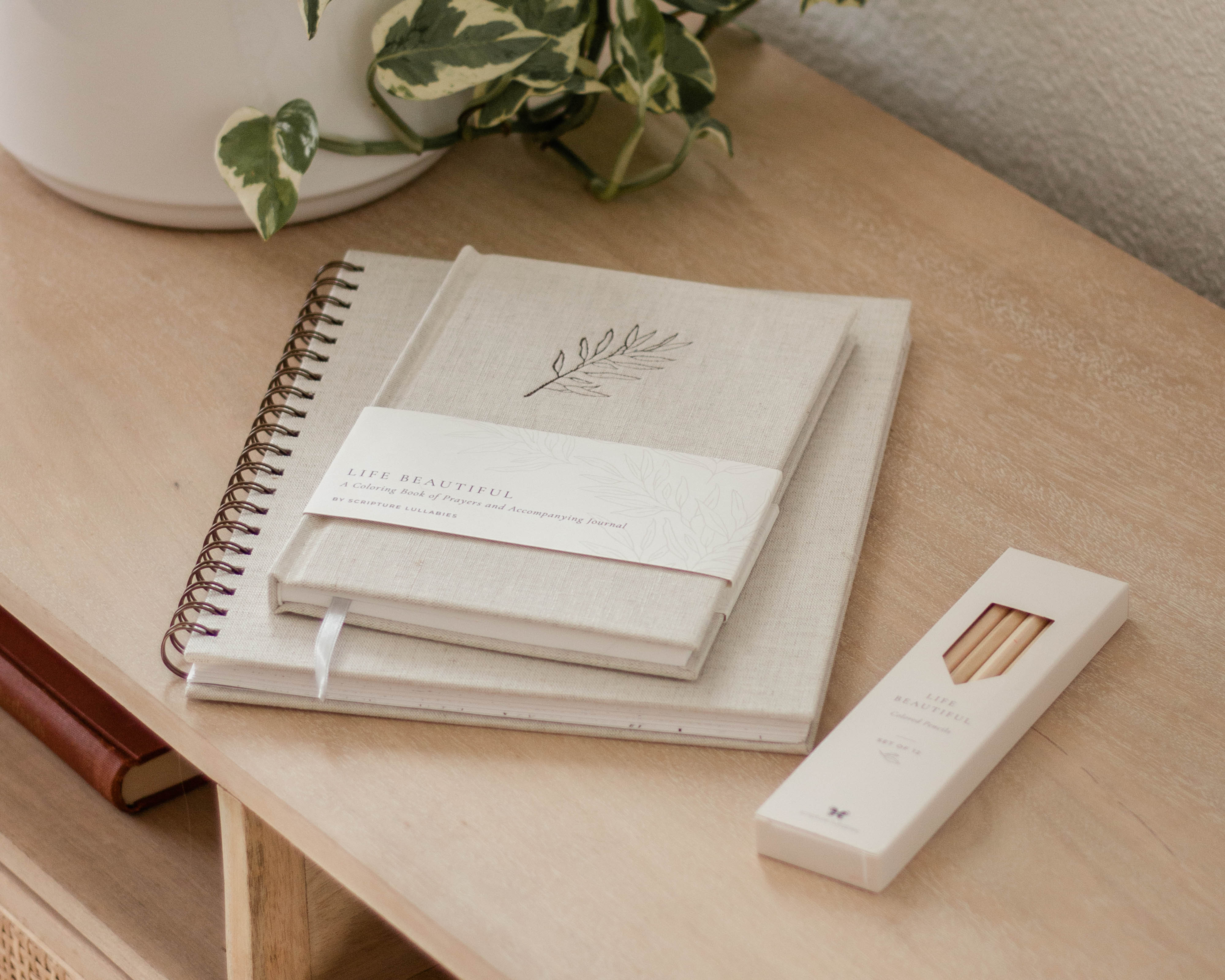 Life Beautiful, A Coloring Book of Prayers and Journal Set