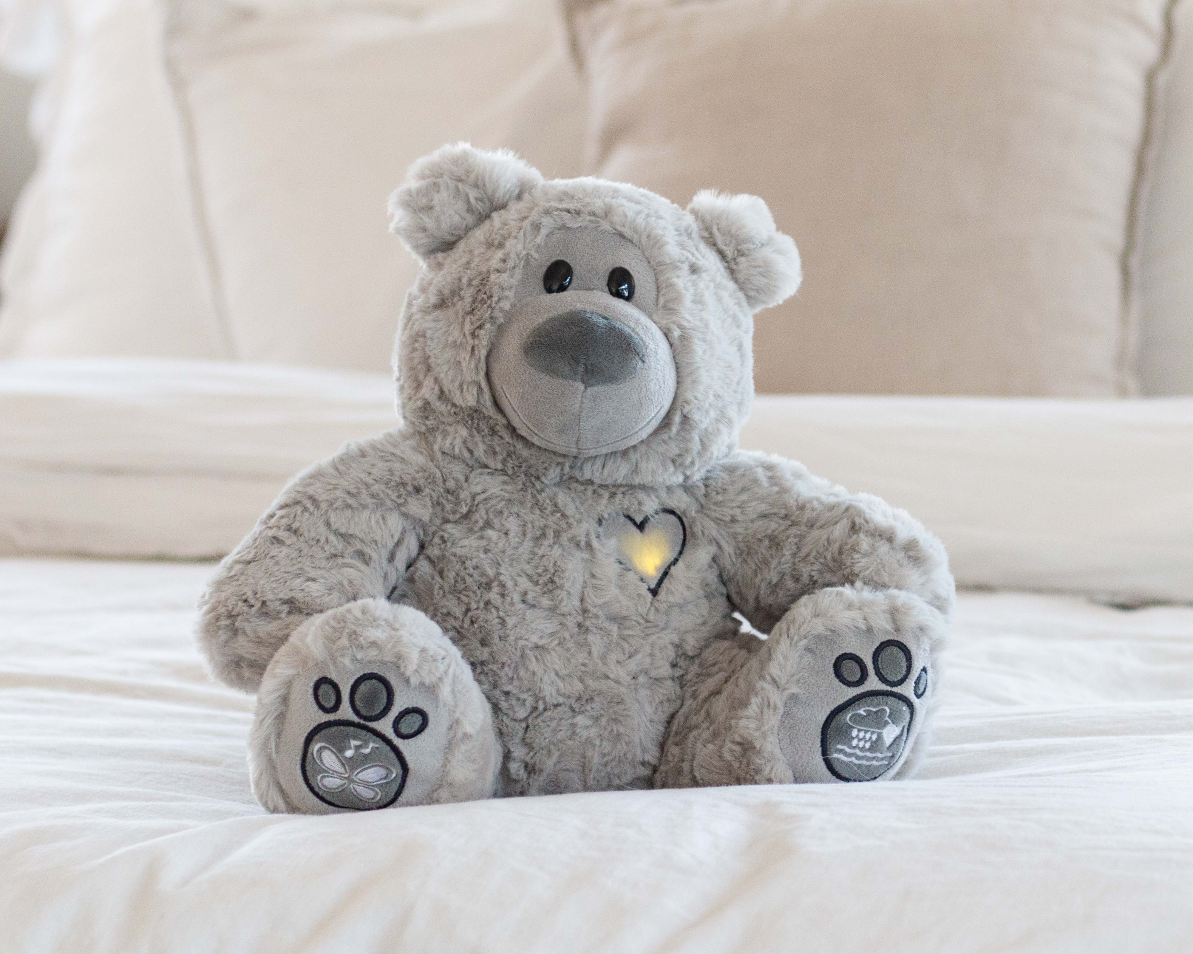 Musical Teddy Bear