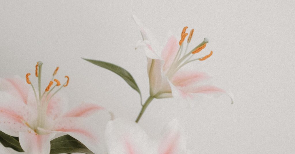 scriptures mother's day