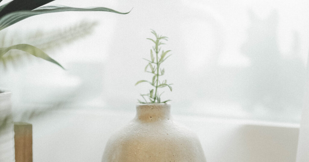 I am doing a new thing