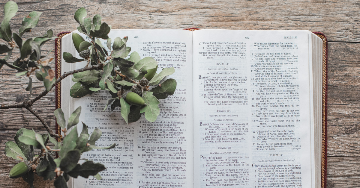 4 Ways to Approach God’s Word With Your Child