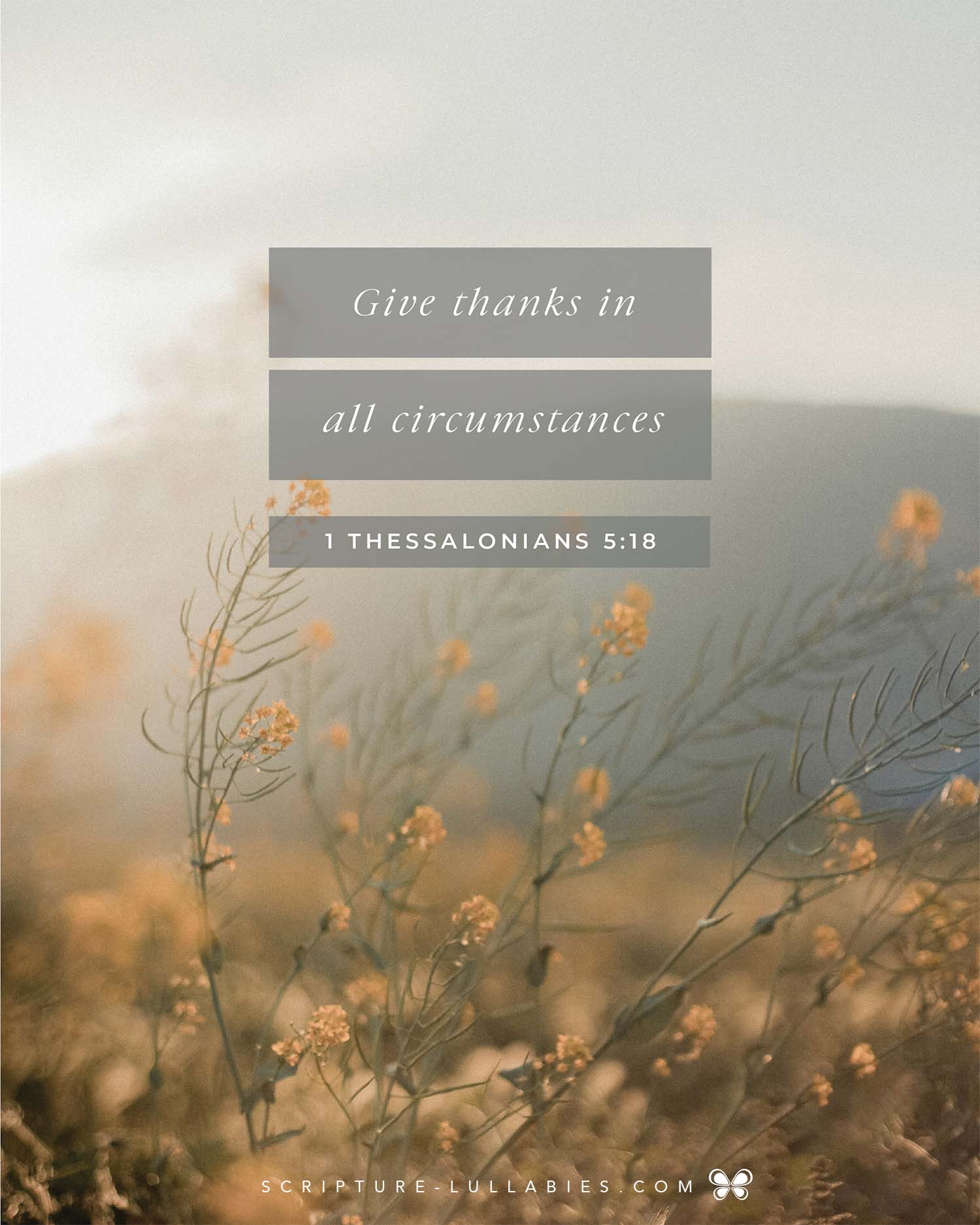 Growing in gratitude